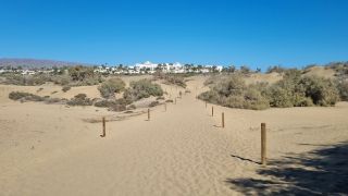 2023-GC--Mapalomas dunas-S123-121.jpg